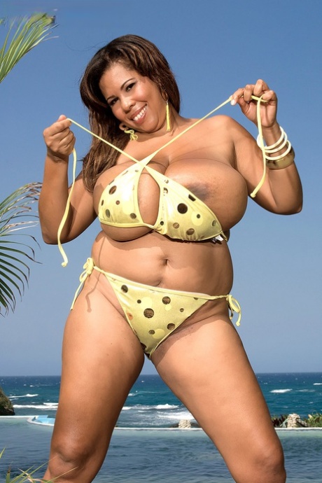 bbw dragon free photo
