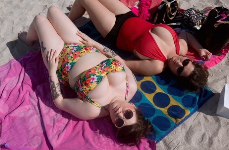 bbw bred pornographic gallery